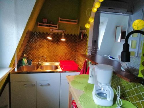 uma pequena cozinha com um lavatório e uma bancada em Les Locations de Stéphanie Les Hautes Vosges em Sondernach