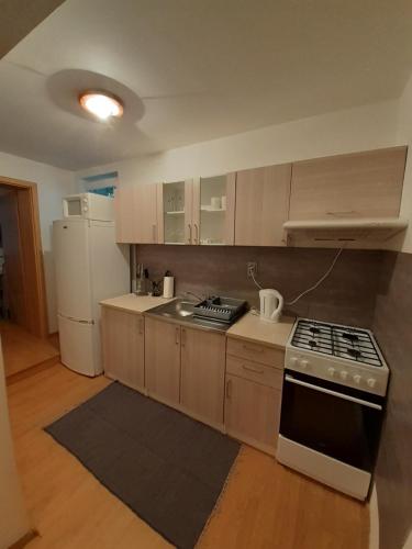 una pequeña cocina con fogones y nevera. en Apartmán LauMar 2 en Bzenec