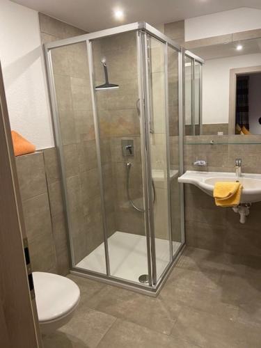 a bathroom with a shower and a toilet and a sink at Rimls Landhaus in Sölden
