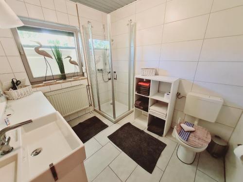 uma casa de banho com um chuveiro, um WC e um lavatório. em FEWO Paternoster em Regen