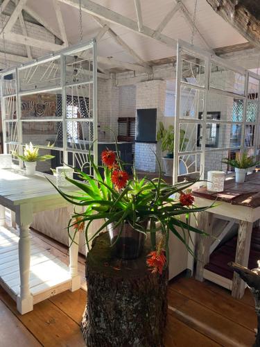 ein Zimmer mit einem Tisch mit einer Pflanze in einem Baumstumpf in der Unterkunft Mon Desir in Pietermaritzburg
