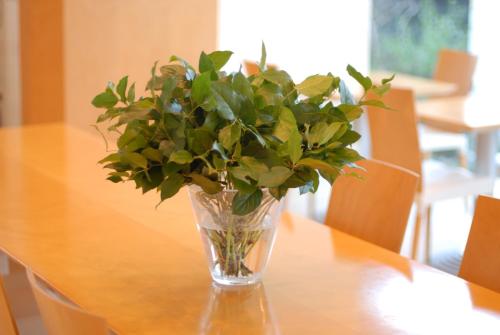 a vase with a plant sitting on a table at 7 Days Hotel in Kochi