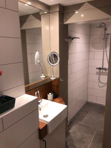 a bathroom with a sink and a mirror and a shower at Centrum Meppel in Meppel