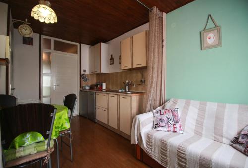 Η κουζίνα ή μικρή κουζίνα στο Apartmen Grdan in Porat