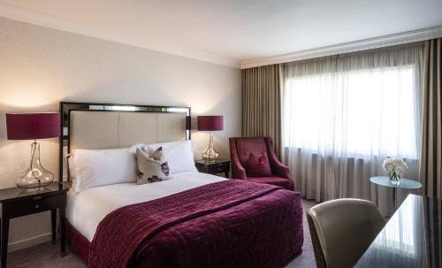 The Bristol Hotel photo 35