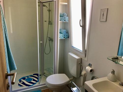 a bathroom with a shower and a toilet and a sink at M&L Mobile Home in Jezera