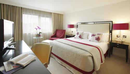The Bristol Hotel photo 44