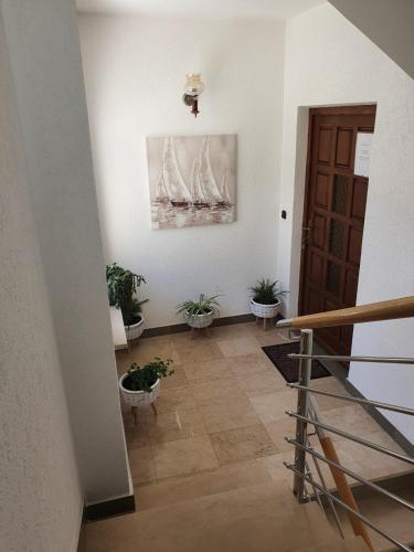 Apartment Sladojevic – Photos 5