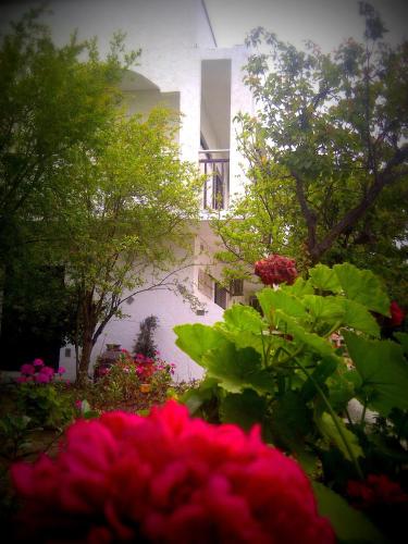a garden with pink flowers in front of a building at Thalassa Studios in Faliraki