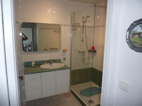 une salle de bain avec une douche, un lavabo et un miroir dans l'établissement Minerva, à Anglet