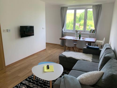TV a/nebo společenská místnost v ubytování Apartmán u Kunštátského mlýna