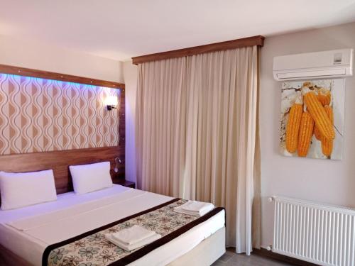 Gallery image of Dolphin Apart Hotel in Sarigerme