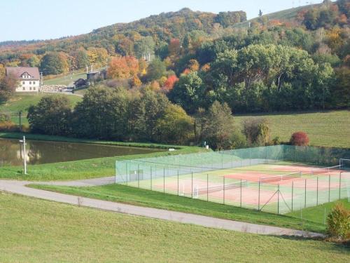 a tennis court in the middle of a field at Penzion Malovaný in Osvětimany