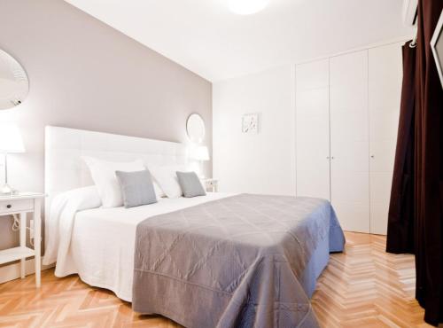 Spacious Apartment in Argüelles, Madrid