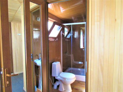 a bathroom with a toilet and a shower and a sink at Arpa Valley Cabin in Yeghegnadzor