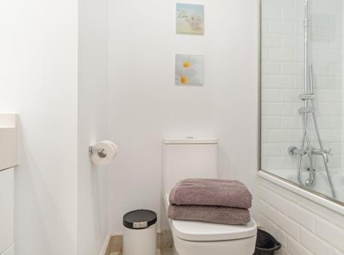 a white bathroom with a toilet and a mirror at ALONSO MARTINEZ II in Madrid