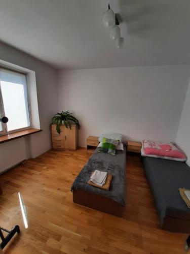 a living room with two beds and a window at Raczkowska Apartament in Suwałki