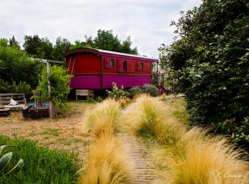 a red and purple train car sitting in a field at B&B La Terre Brûlée in Aigues-Mortes