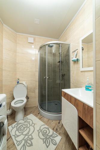 a bathroom with a shower and a toilet and a sink at Villa Grace in Oryavchyk