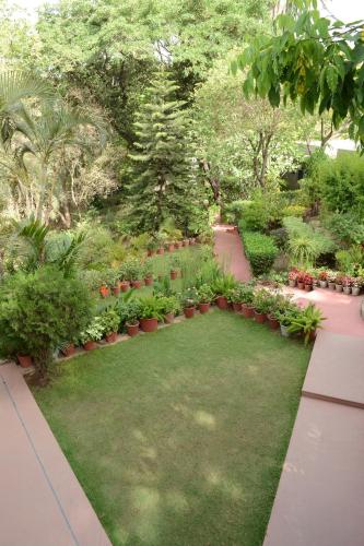 a garden with a lawn with plants and trees at Rising Sun Retreat in Mount Ābu
