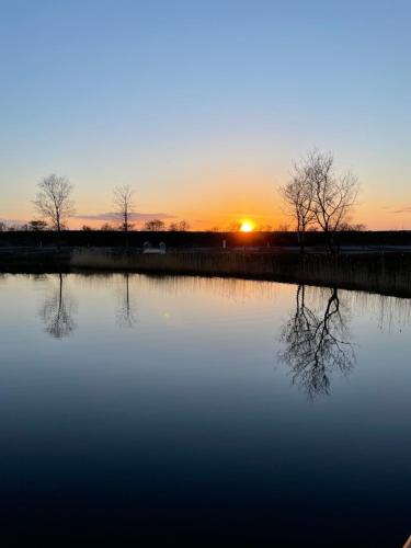 einen Sonnenuntergang über einem See mit Bäumen im Wasser in der Unterkunft Marsk Camp in Skærbæk