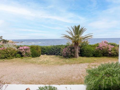 un palmier sur la plage près de l'océan dans l'établissement Apartment Les Corailleurs by Interhome, à Saint-Aygulf