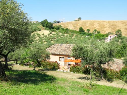 ein Haus an der Seite eines Hügels mit Bäumen in der Unterkunft Apartment Villa Elster-6 by Interhome in Collecorvino