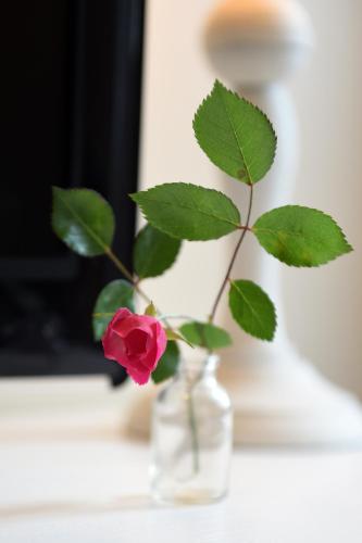 a rose in a glass vase with a flower at Le Rodin Bazas in Bazas