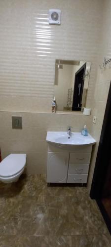 a bathroom with a toilet and a sink and a mirror at Альтаир1 in Odesa