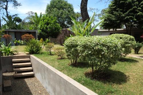 a garden with trees and bushes and a staircase at Kaliwa Lodge in Moshi