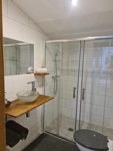 een badkamer met een douche, een wastafel en een toilet bij Dépendance Spacieuse & Cosy Entre et Mer avec Spa in Landéda