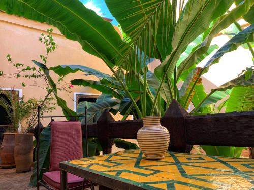 Jardin de l'établissement Riad Bamileke