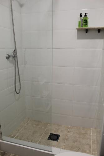 uma casa de banho com um chuveiro e uma porta de vidro em Apartamento Guadiaro 3 Ainhoa em Benaoján