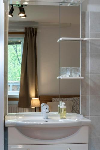 a bathroom with a sink and a mirror at Apartma in sobe PR'OBJAN in Bohinj