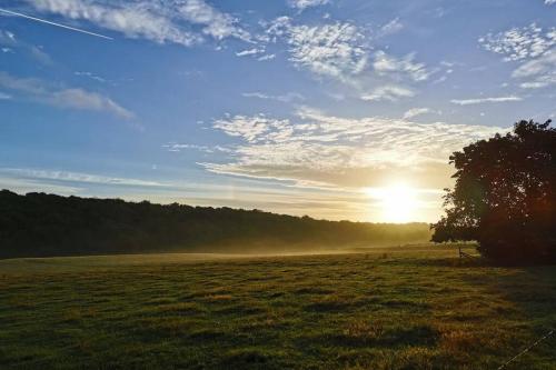 a sunset in a field with a tree in a field at Lo'rée des prés in Grandriaux