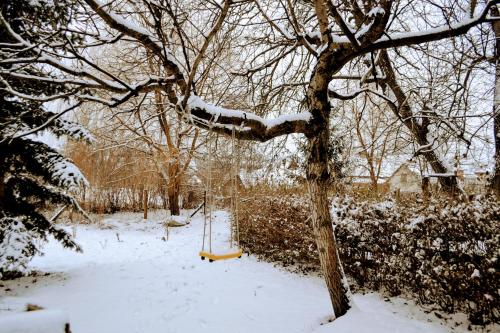 a swing in the snow next to a tree at Lóci Palócház in Nagylóc