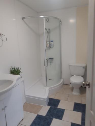 łazienka z prysznicem i toaletą w obiekcie 61 w mieście Winchester