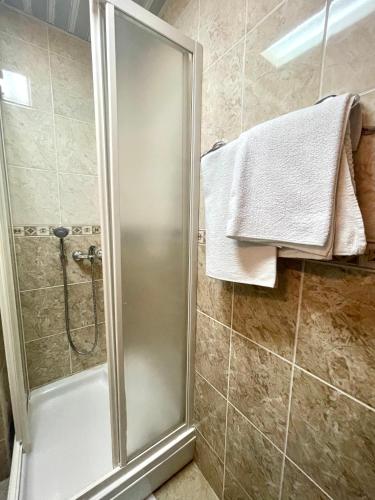 a shower with a glass door in a bathroom at Apartments Boreta Becici in Budva