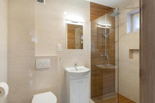 a bathroom with a toilet and a sink and a shower at przystanek Kudowa in Kudowa-Zdrój