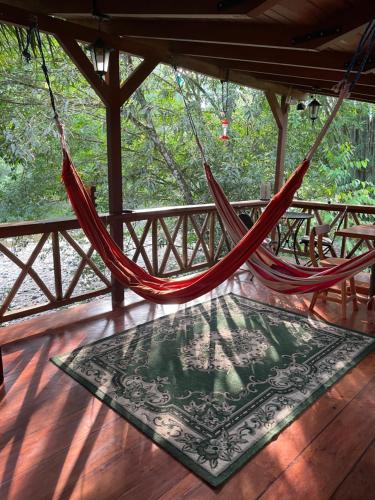 a porch with two hammocks and a rug at Caoni Riverside Suites - Birders Paradise by the river, Ecuadorian Chocó in Puerto Quito