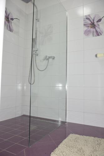 a shower with a glass door and a rug at Apartment MARO in Senj
