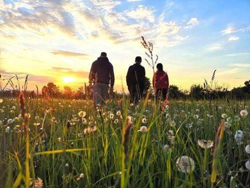 three people walking through a field of flowers at sunset at Dylewianka in Wysoka Wieś