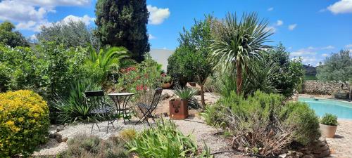 a garden with plants and a swimming pool at Le Coq du Nord - Mailhac Gîte et Chambres d'Hôtes in Mailhac