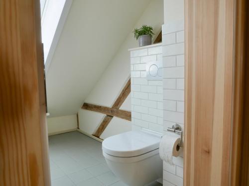 a bathroom with a toilet in a attic at Stilvolle Ferienwohnungen nahe Leipzig mit WLAN, Netflix, Garten in Borsdorf