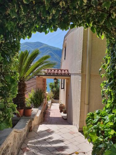 an archway leading into a building with plants and trees at La Grande Apartments in Kotor