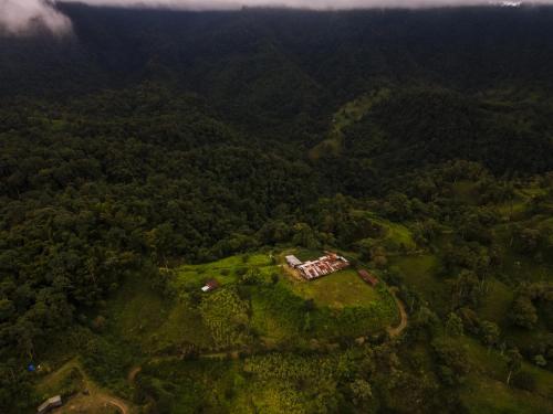 a house on a hill in the middle of a forest at Casa de Vista Alta in Mindo