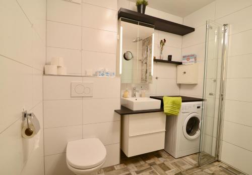 a bathroom with a toilet and a sink and a washing machine at Apartment Almrock in Maria Alm am Steinernen Meer