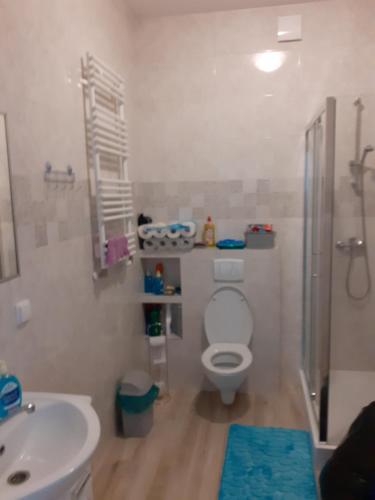 Ванная комната в Apartament Perła Bałtyku