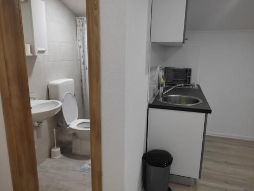 La petite salle de bains est pourvue d'un lavabo et de toilettes. dans l'établissement Apartments Savić, à Neum