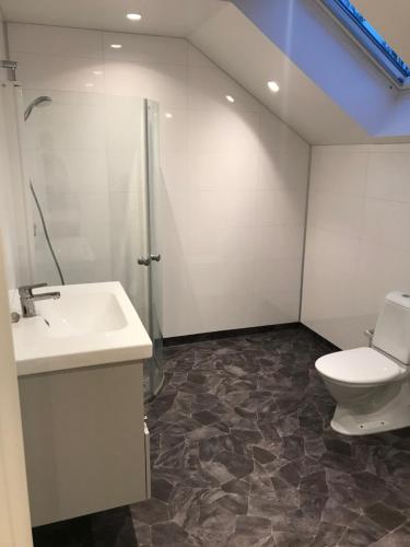 a bathroom with a toilet and a sink and a shower at Videvägen 20 Strömstad in Strömstad